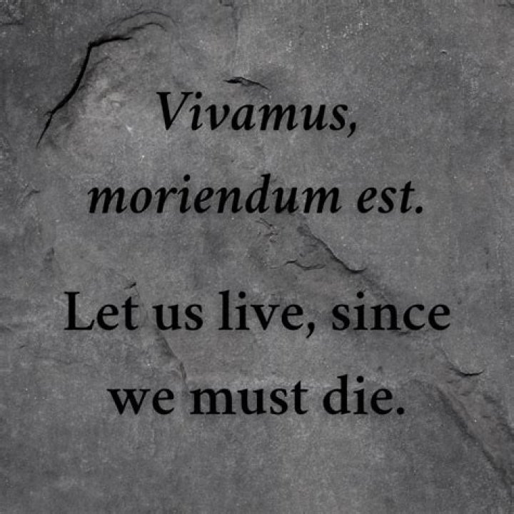 60 Popular Latin Phrases And How to Use Them — Best Life