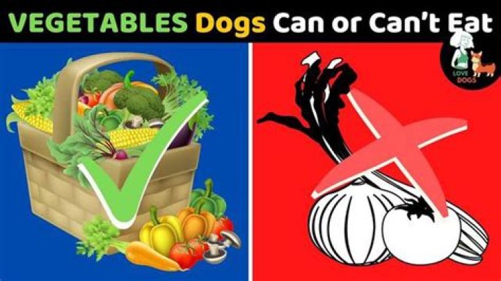 Can dogs eat canned vegetables