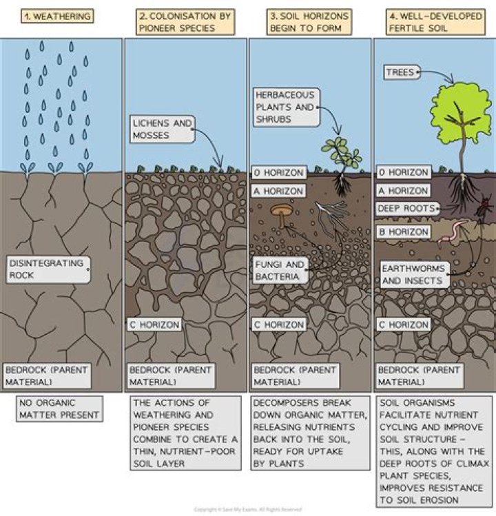 How many naturally occurring isotopes are there for silicon and which one is the most abundant
