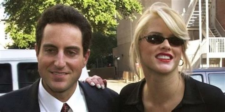 Howard K. Stern Net Worth