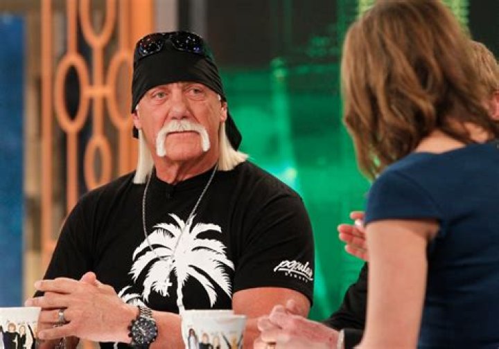 Hulk Hogan Finally Reaches Settlement Worth Millions With Gawker