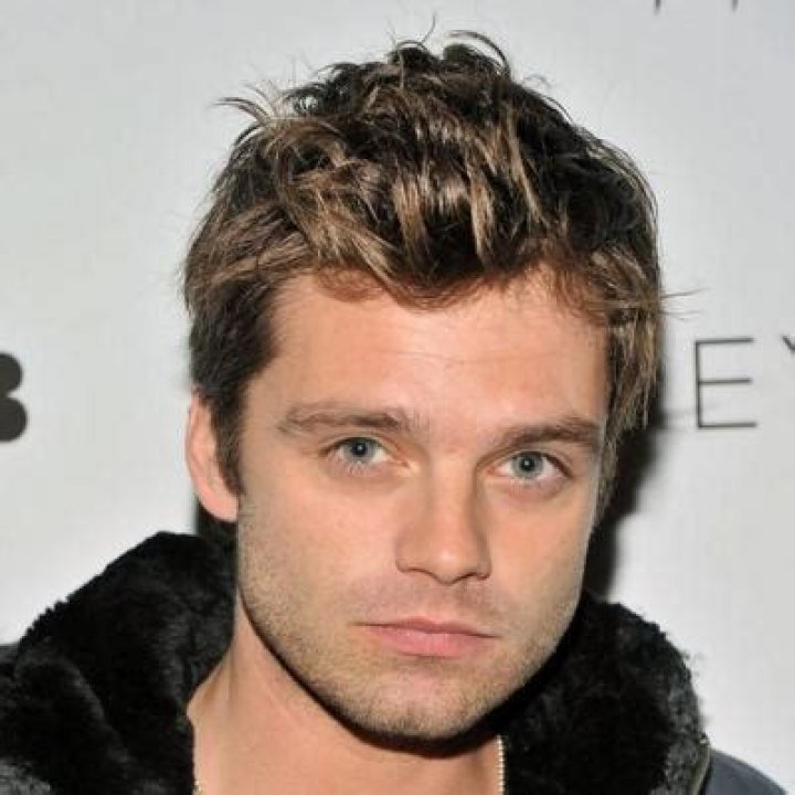 Sebastian Stan Net Worth | Celebrity Net Worth