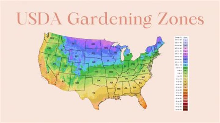 U.S. Gardening Map Updated for First Time in a Decade—What You Can Plant in Your Region