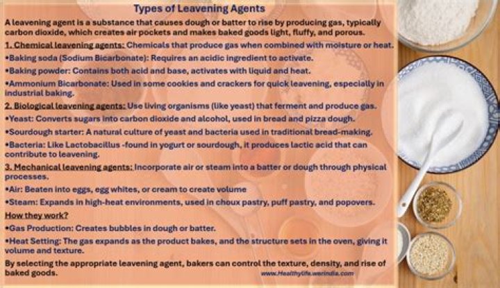 What are the four types of leavening gases