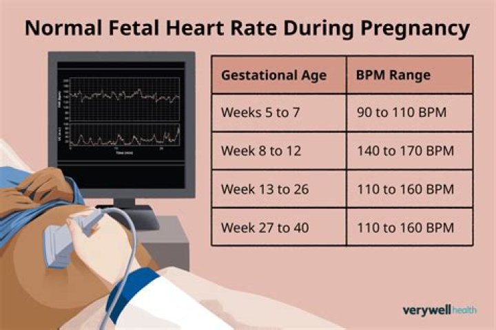 What is baseline fetal heart rate