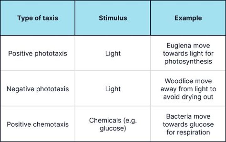 What is chemotaxis and Phototaxis