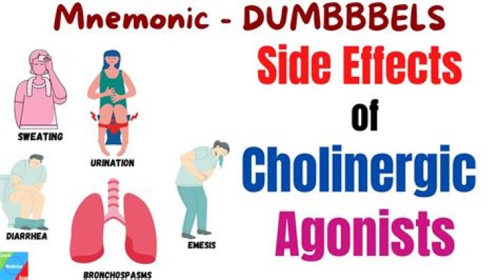 What is Choleretic and Cholagogue