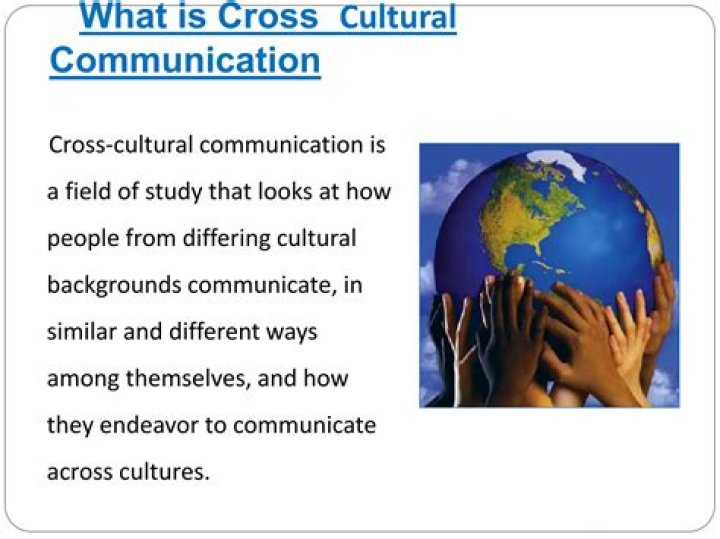 What is cross cultural dissonance