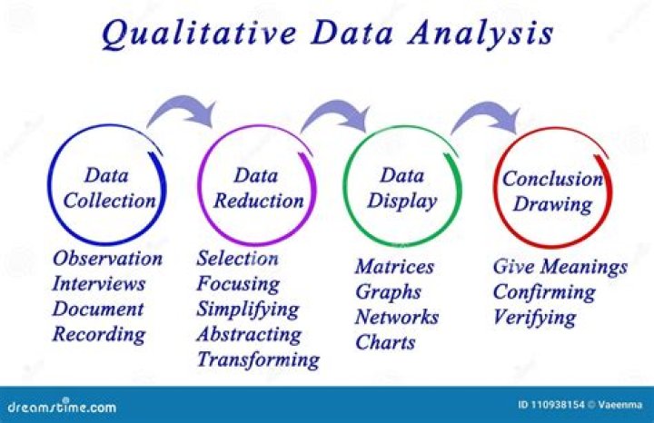 What is meant by qualitative data