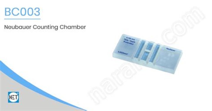 What is Neubauer counting chamber
