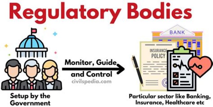 What is regulatory policy example