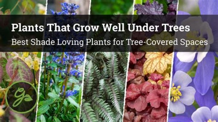 What plants grow well in Utah