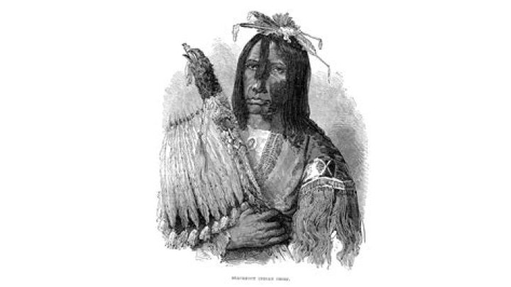 What race is Blackfoot Indian