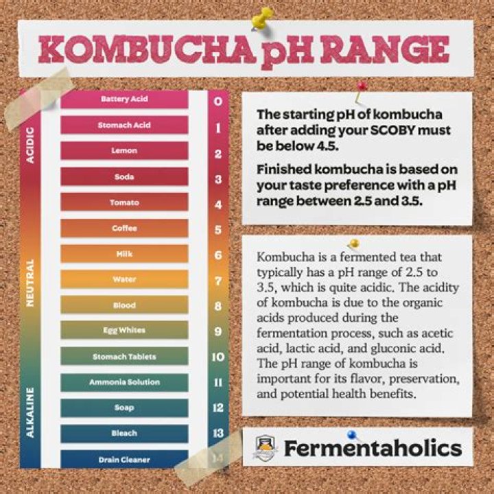 What should pH of Kombucha be