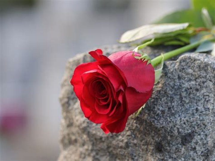 What to say when giving roses