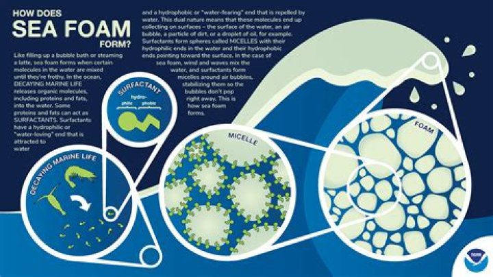 What type of foam is Foamular