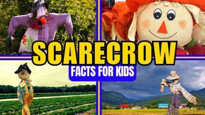What were scarecrows used for