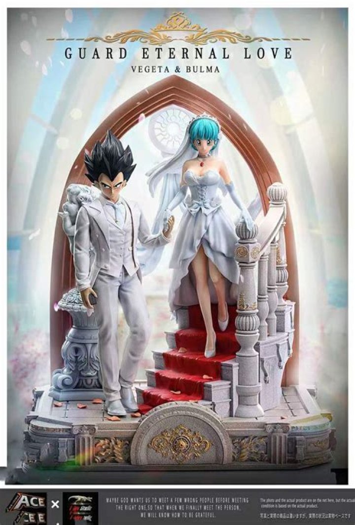 Who is Prince Vegeta Dating Now?